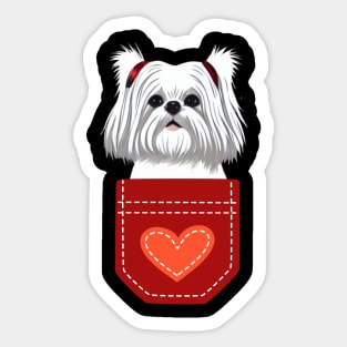 I Love My Crusty White Dog Girl Maltese Shih Tzu Birthday Sticker